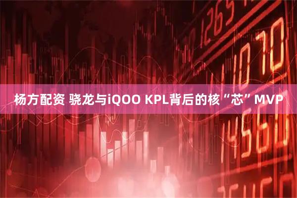 杨方配资 骁龙与iQOO KPL背后的核“芯”MVP
